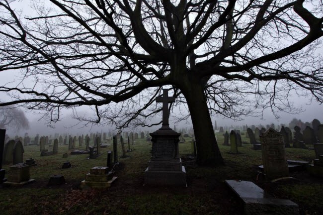 Những luật cấm du khách kỳ lạ nhất thế giới ảnh 15