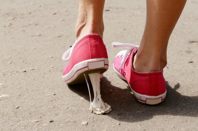 Những luật cấm du khách kỳ lạ nhất thế giới ảnh 1