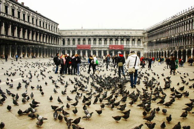 Những luật cấm du khách kỳ lạ nhất thế giới ảnh 4