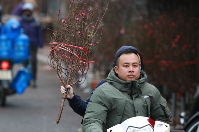 Đào nở bung đỏ rực trước Tết Âm lịch người trồng buộc phải bán sớm ảnh 6