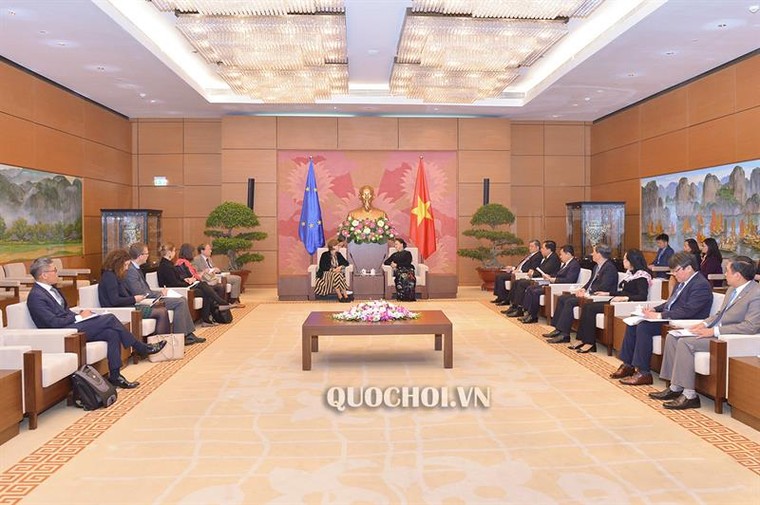 Chủ tịch Quốc hội tiếp Phó Chủ tịch Nghị viện Châu Âu ảnh 2