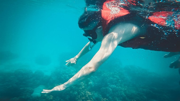 Vé chơi Sun World chỉ 0 đồng, chọn Tết nhà hay Tết Sun World? ảnh 3