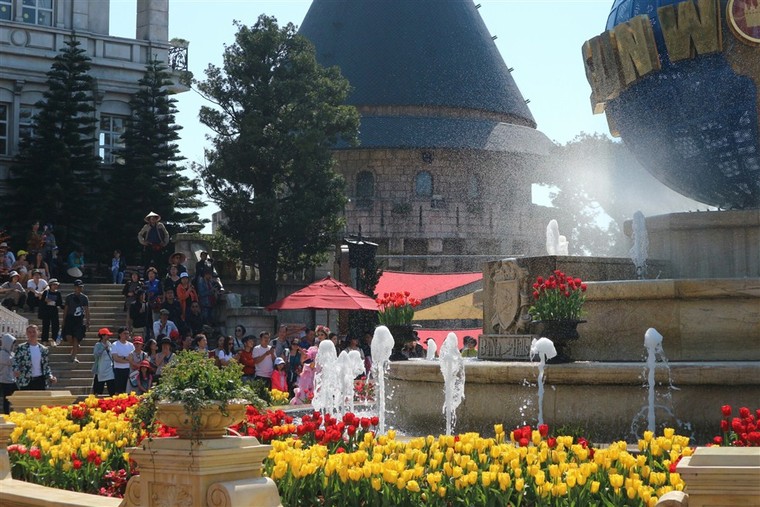 Hơn triệu bông Tulip biến Bà Nà thành 'xứ sở Hà Lan' ảnh 3