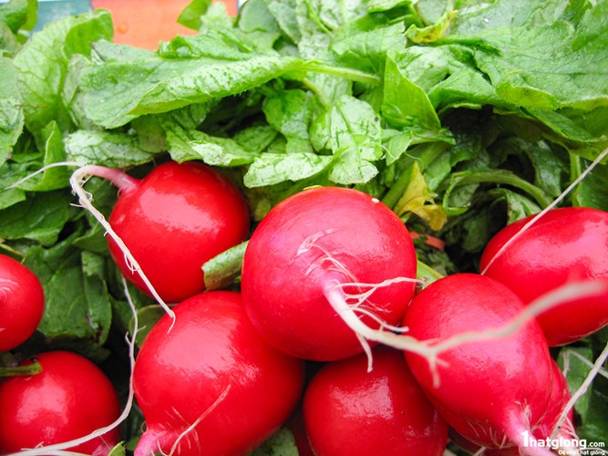 Những món ăn phòng chữa bệnh trĩ cho dân văn phòng ảnh 3