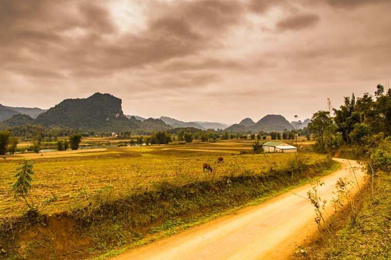 Có một Cao Bằng đẹp như mùa thu trời Âu giữa ngày đông giá lạnh ảnh 8