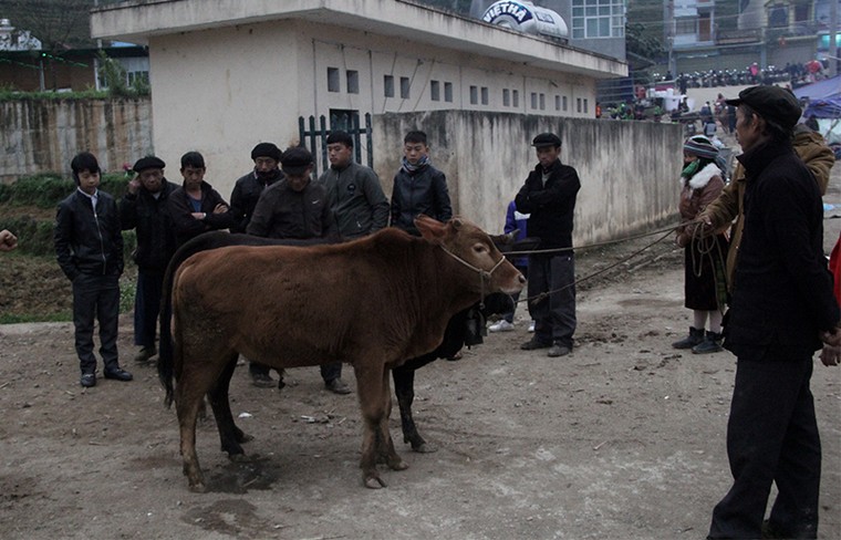 Độc đáo chợ phiên Đồng Văn ngày cuối tuần ảnh 11