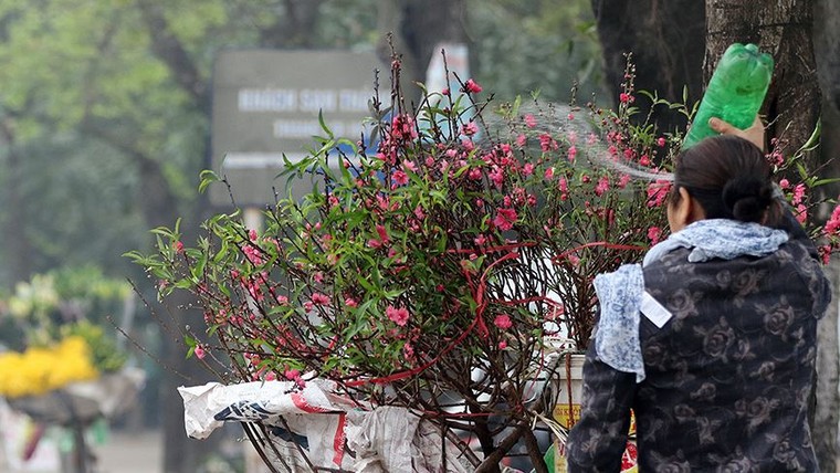 Hoa đào dạo phố, mọi nẻo đường Hà Nội tràn ngập không khí Tết ảnh 10