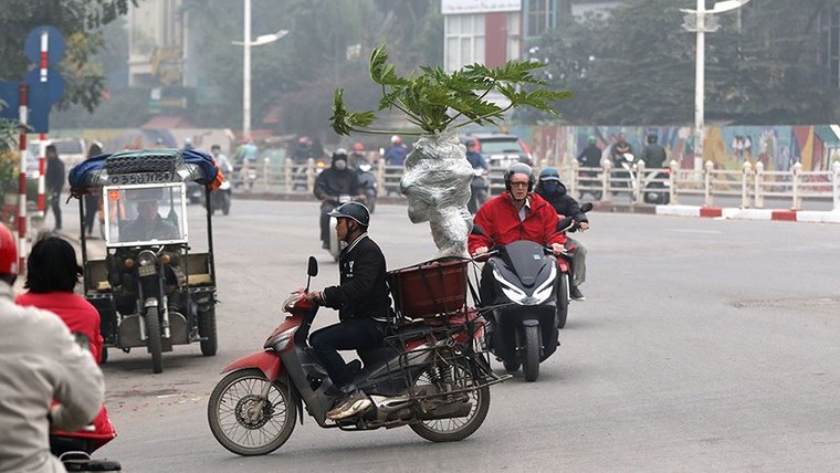 Hoa đào dạo phố, mọi nẻo đường Hà Nội tràn ngập không khí Tết ảnh 11