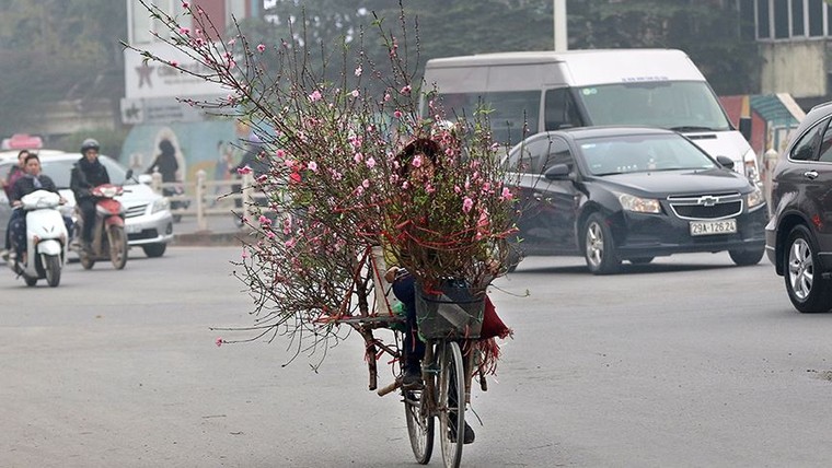 Hoa đào dạo phố, mọi nẻo đường Hà Nội tràn ngập không khí Tết ảnh 13