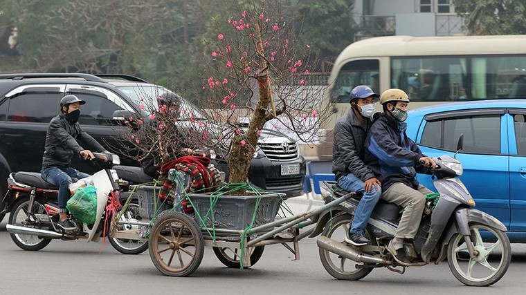 Hoa đào dạo phố, mọi nẻo đường Hà Nội tràn ngập không khí Tết ảnh 1