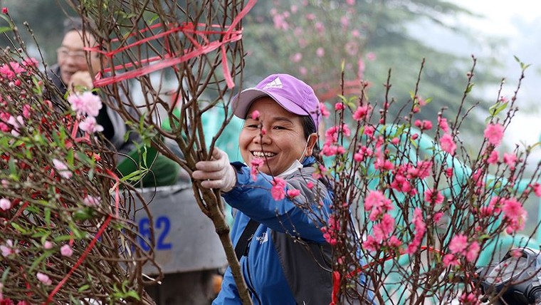 Hoa đào dạo phố, mọi nẻo đường Hà Nội tràn ngập không khí Tết ảnh 2