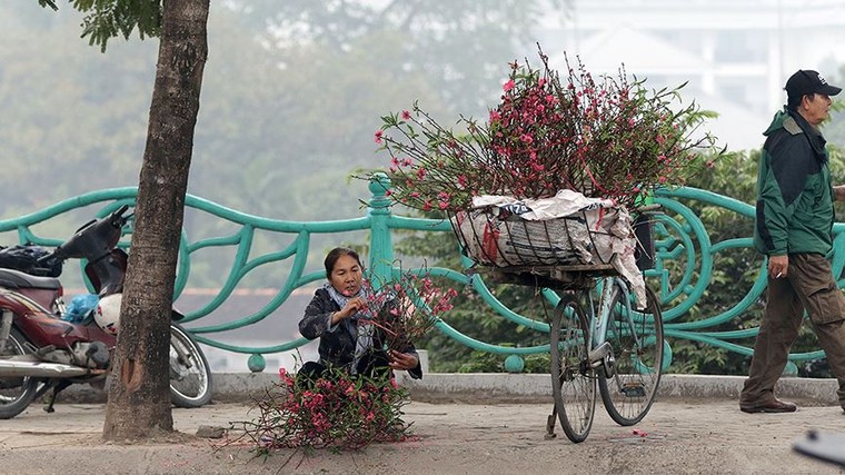 Hoa đào dạo phố, mọi nẻo đường Hà Nội tràn ngập không khí Tết ảnh 4