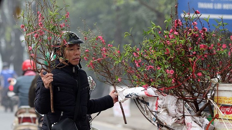 Hoa đào dạo phố, mọi nẻo đường Hà Nội tràn ngập không khí Tết ảnh 6