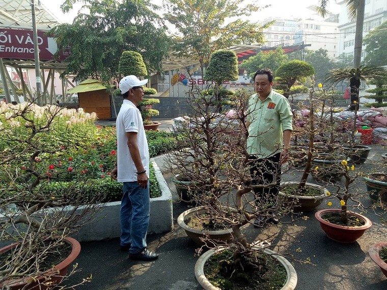 Cây quê thay áo ra thành phố thành cây ‘hốt bạc’ ảnh 3