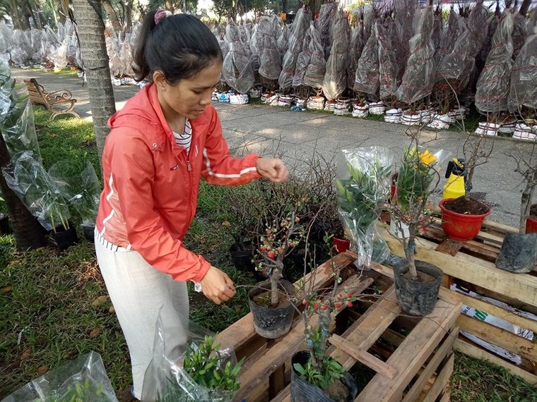 Cây quê thay áo ra thành phố thành cây ‘hốt bạc’ ảnh 4