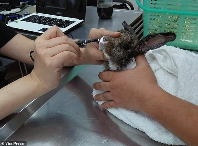 Người dân Thái Lan chảy máu mắt, ho ra máu vì hít phải khói bụi độc ảnh 3