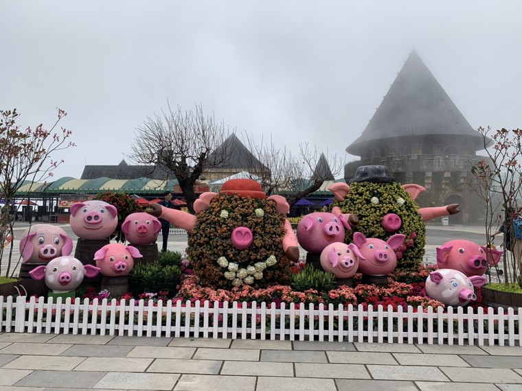 Xuân ngất ngây ở 'xứ hoa nở trong mây' ảnh 8