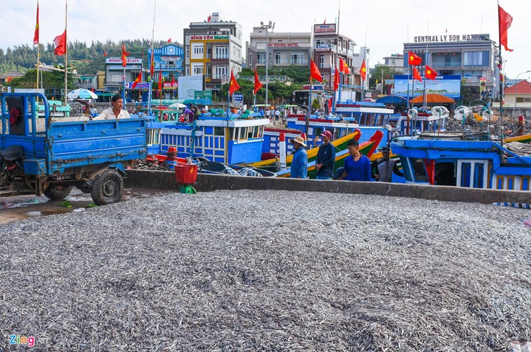 Ngư dân trúng 'lộc biển' trong chuyến ra khơi đầu xuân ảnh 10