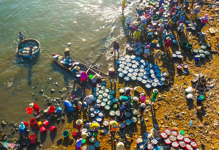 Ngư dân trúng 'lộc biển' trong chuyến ra khơi đầu xuân ảnh 3