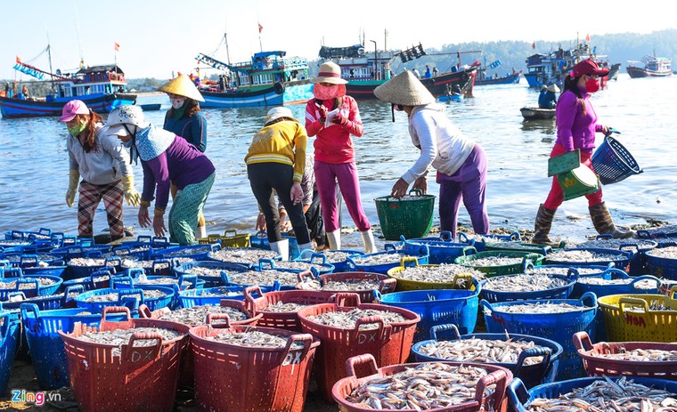 Ngư dân trúng 'lộc biển' trong chuyến ra khơi đầu xuân ảnh 4