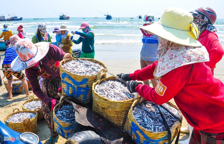 Ngư dân trúng 'lộc biển' trong chuyến ra khơi đầu xuân ảnh 6