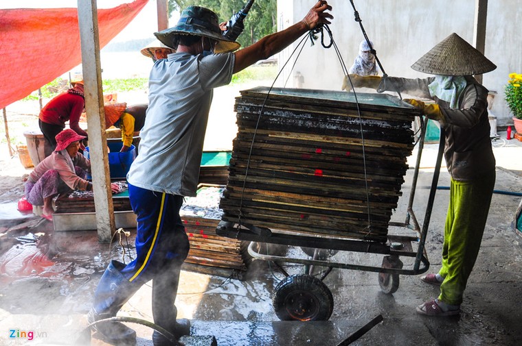 Ngư dân trúng 'lộc biển' trong chuyến ra khơi đầu xuân ảnh 7