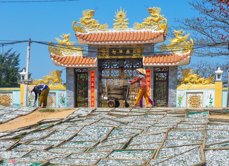 Ngư dân trúng 'lộc biển' trong chuyến ra khơi đầu xuân ảnh 8