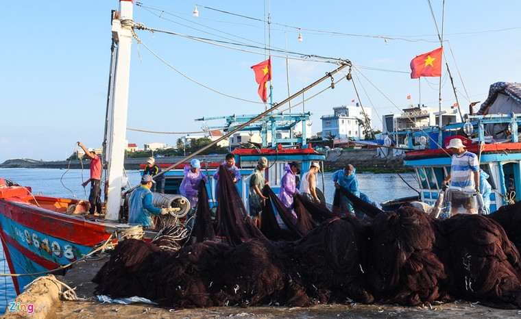 Ngư dân trúng 'lộc biển' trong chuyến ra khơi đầu xuân ảnh 9