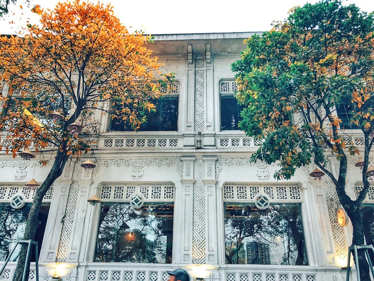 Hà Nội đẹp ngỡ ngàng, tựa trời Âu mùa thay lá ảnh 8