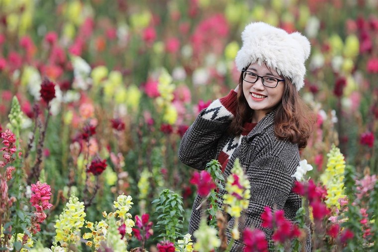 Hàng ngàn du khách mê đắm rừng hoa đào nhuộm hồng cả Sun World Fansipan Legend ảnh 8