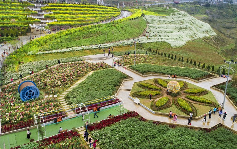 Hàng ngàn du khách mê đắm rừng hoa đào nhuộm hồng cả Sun World Fansipan Legend ảnh 7