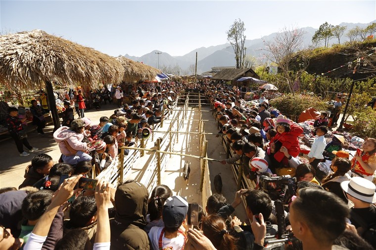 Hàng ngàn du khách mê đắm rừng hoa đào nhuộm hồng cả Sun World Fansipan Legend ảnh 11