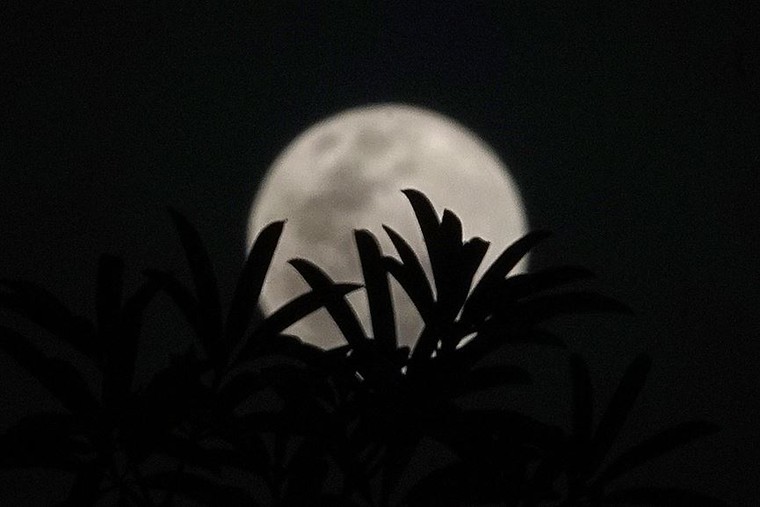 Người dân Hà Nội tiếc nuối khi ‘siêu Trăng’ không như mong đợi ảnh 3