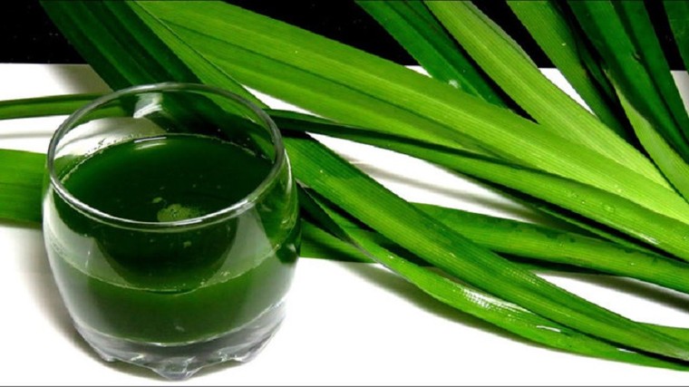 Loại lá gì dùng để gói bánh Chim Gâu?