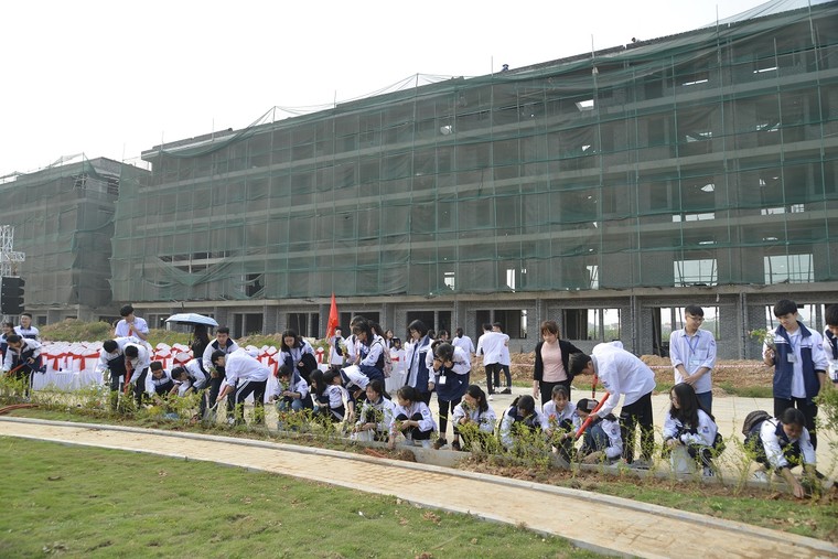 Nỗ lực cán đích bàn giao nhà giai đoạn 1 TMS Grand City Phuc Yen ảnh 7