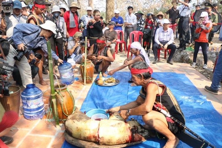 Độc đáo lễ cúng sức khỏe cho voi của người M'Nông ảnh 2