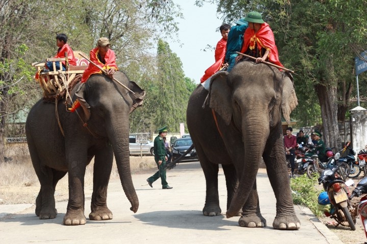 Độc đáo lễ cúng sức khỏe cho voi của người M'Nông ảnh 1