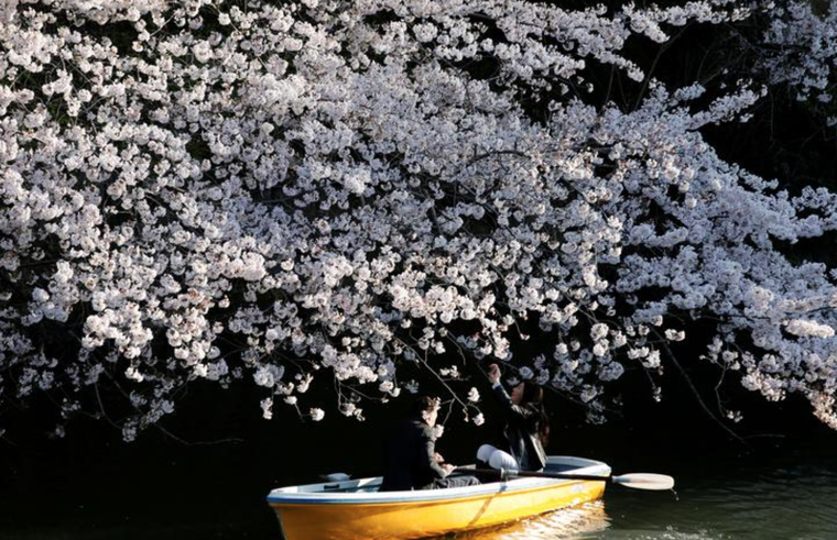 Những hình ảnh nổi bật Thế giới tuần qua ảnh 6