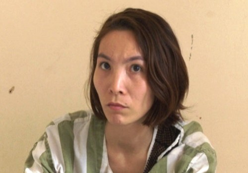 Bắt giữ đối tượng đưa phụ nữ qua Trung Quốc mang thai hộ ảnh 1