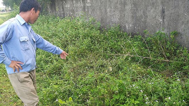 Điều tra nghi án 2 nam sinh lớp 8 xâm hại nữ sinh lớp 2 ảnh 2