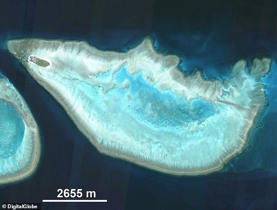 Sáng tỏ bí ẩn những quầng sáng ma quái trên biển ảnh 3