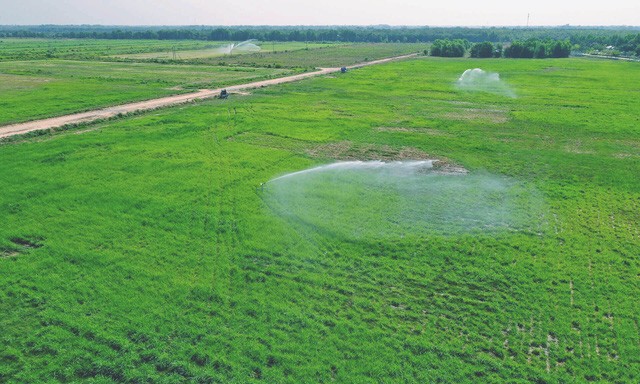 Check-in tại 'Resort' bò sữa siêu đẹp của Vinamilk Tây Ninh ảnh 10