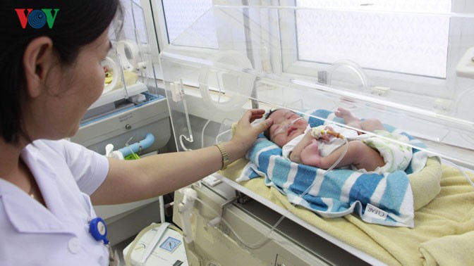 Phát hiện bé gái 2 ngày tuổi bị bỏ rơi ở trong rừng ảnh 1