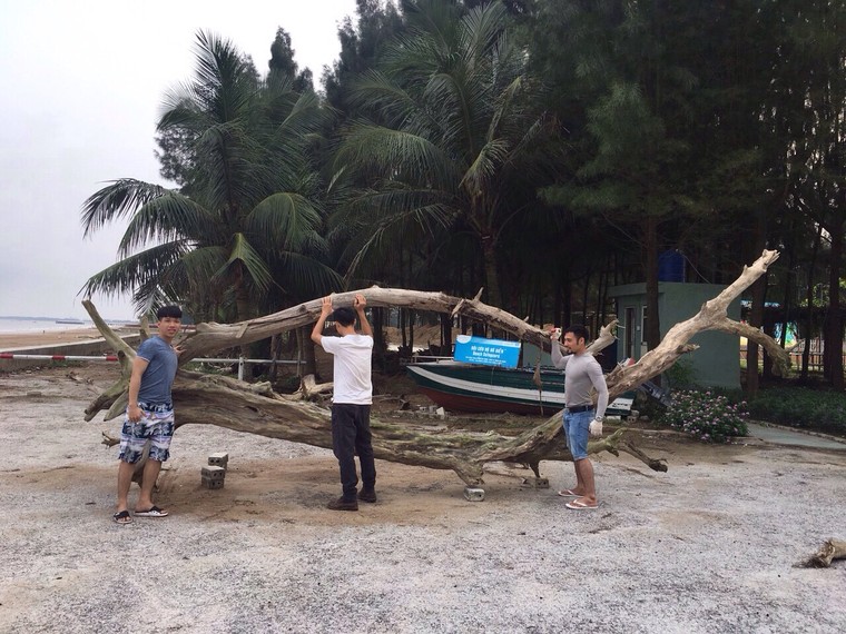 Vì một môi trường biển không rác thải ảnh 3