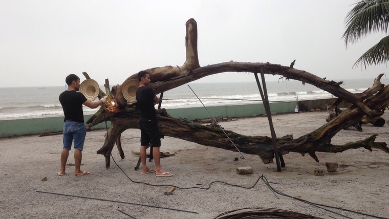 Vì một môi trường biển không rác thải ảnh 4