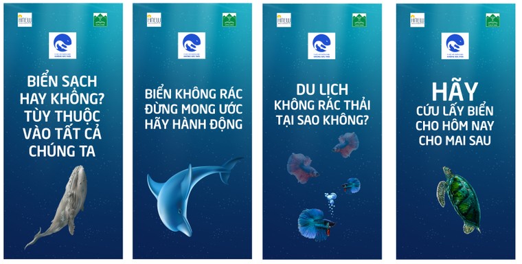 Vì một môi trường biển không rác thải ảnh 1