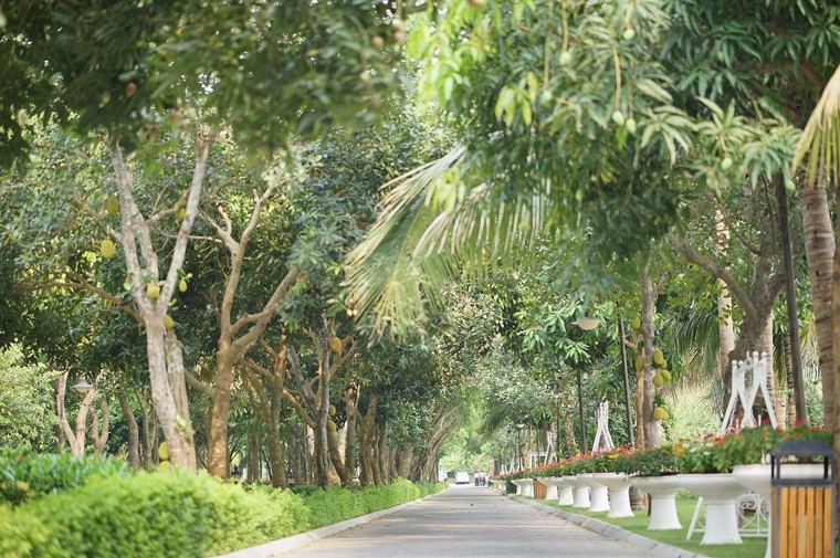 Gợi ý những địa điểm vui chơi bổ ích và lý thú cho bé ngày 1/6 ảnh 3