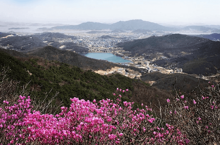 Incheon – Điểm đến của những tâm hồn yêu Hàn Quốc đích thực ảnh 3