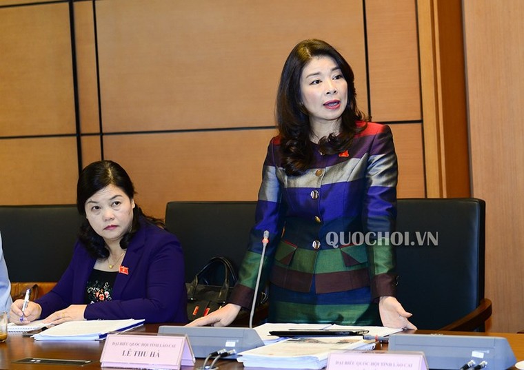 Đại biểu Quốc hội: Đề xuất kiểm toán việc tăng giá điện ảnh 2