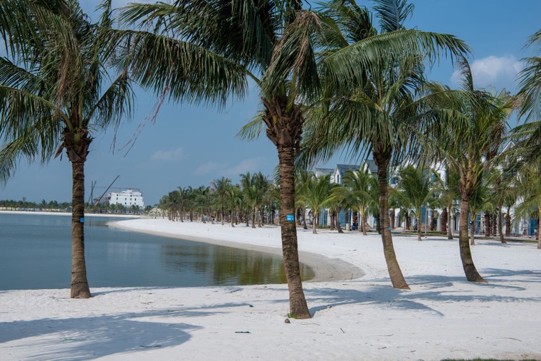 Chiêm ngưỡng thành phố biển hồ Vinhomes Ocean park sắp lộ diện ảnh 2